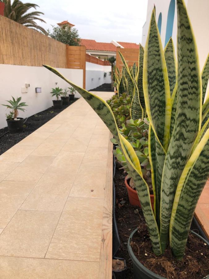 לה אוליבה Cozy, Beach House , By Mahbovillas מראה חיצוני תמונה